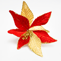 Poinsetia Vermelho/Creme 20cm (Un)