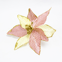 Poinsetia Rosa/Champanhe 20cm (Un)