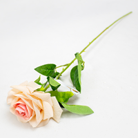 Rosa Art. Aveludada 61cm Champanhe (Un)