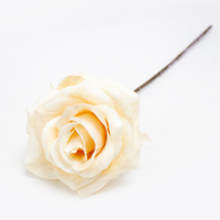 Rosa Artificial Gelada 45cm Creme