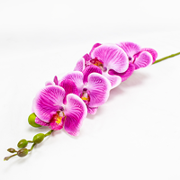 Phalaenopsis Art.  84cm - Fuchsia (Un)