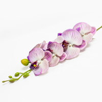 Phalaenopsis Art.  84cm - Lilas (Un)