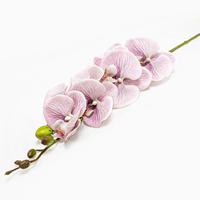 Phalaenopsis Art.  84cm - Rosa (Un)