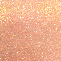 Glitter Salmão 100gr