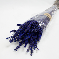Lavandula Preservada 45cm / 150 gr Azul