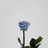 Rosa Preservada 30Cm Azul