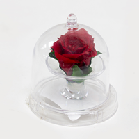 Rosa Mini Preservada Vermelha
