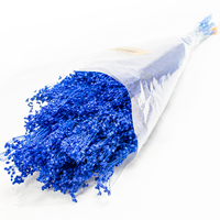 Brooms 50cm 100gr Azul