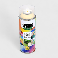 Tinta Spray Spring 400ml Champanhe