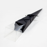 Cone de Papel / Plastico 43cm Preto ( 10 Un.)