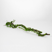 Raiz com musgo artificial