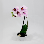 Vaso Phalaenopsis artificial