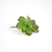 Succulent Artificial