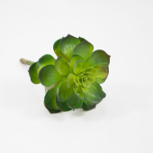 Succulent Artificial Grande