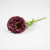 Paeonia Artificial