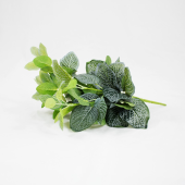 Ramo artificial Fitonia