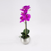 Phalaenopsis Artificial - 40cm