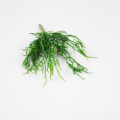 Succulent Artificial