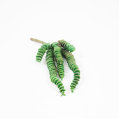 Succulent Artificial