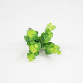 Succulent Artificial