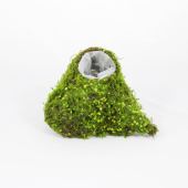 Cesto em forma de Coraçãocom furo