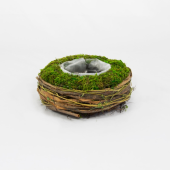 Base redonda decorada com Musgo