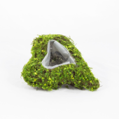 Cesto em forma de Coraçãodecorado com Musgo