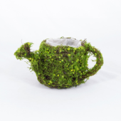 Cesto em forma de regador decorado com Musgo