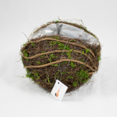 Cesto Bola com Musgo