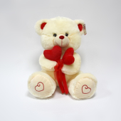 Urso de Peluche com Ramo de corações