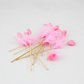 Coraçãopick com penas