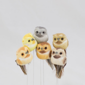 12 un · Mocho colorido