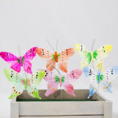 Pick · Borboleta Colorida 10cm