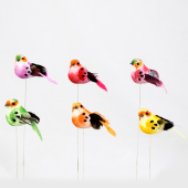 Pick · Pássaro colorido 6.5cm - B