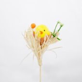 Pick · Pintainho no ninho