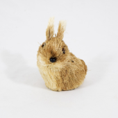 Coelho em Sisal