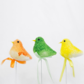 Pick · Passaro colorido