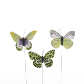 Borboleta 3 Cores com 11cm - 6un.