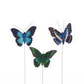 Borboleta 3 Cores com 6cm - 6un.