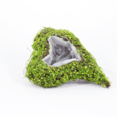 Cesto em forma de Coraçãodecorado com Musgo  - 30cm