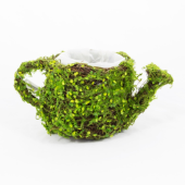 Cesto em forma de regador decorado com Musgo  - 25cm